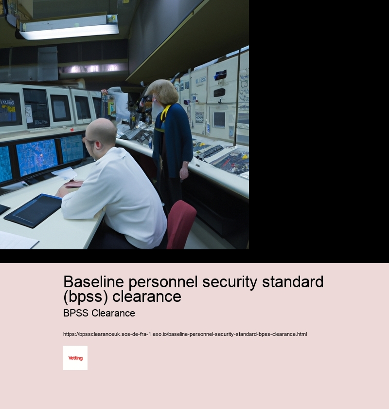 baseline personnel security standard (bpss) clearance